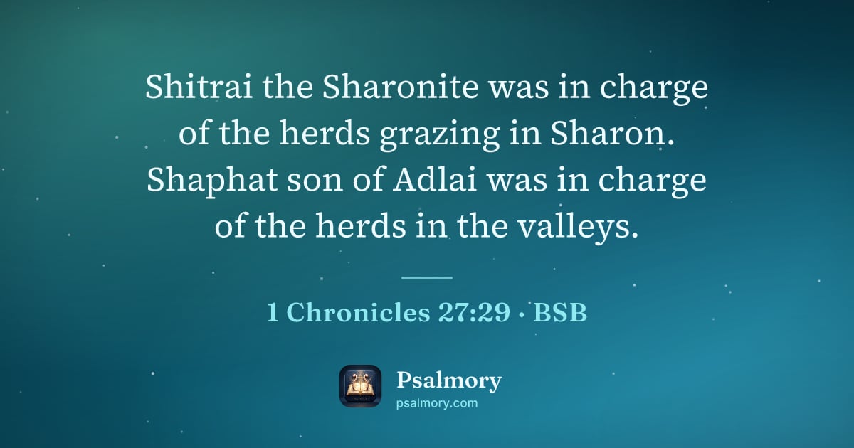 1 Chronicles 27:29 verse artwork: Shitrai the Sharonite was in charge of the herds grazing in Sharon. Shaphat son of Adlai…