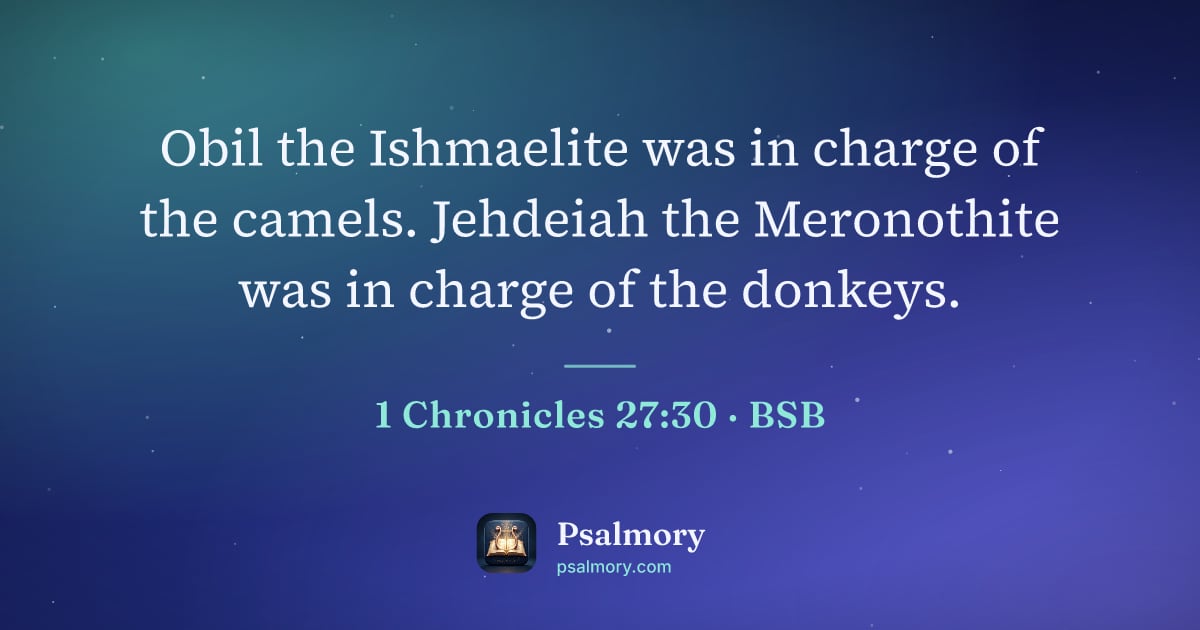 1 Chronicles 27:30 verse artwork: Obil the Ishmaelite was in charge of the camels. Jehdeiah the Meronothite was in charge…