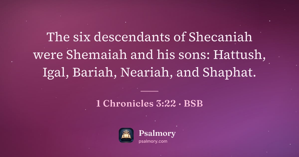 1 Chronicles 3:22 verse artwork: The six descendants of Shecaniah were Shemaiah and his sons: Hattush, Igal, Bariah,…