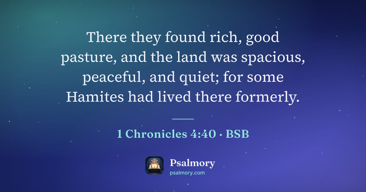 1 Chronicles 4:40 verse artwork: There they found rich, good pasture, and the land was spacious, peaceful, and quiet; for…