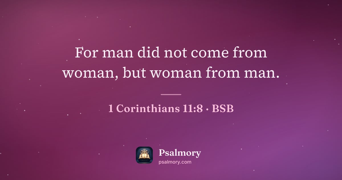 1 Corinthians 11:8 verse artwork: For man did not come from woman, but woman from man.