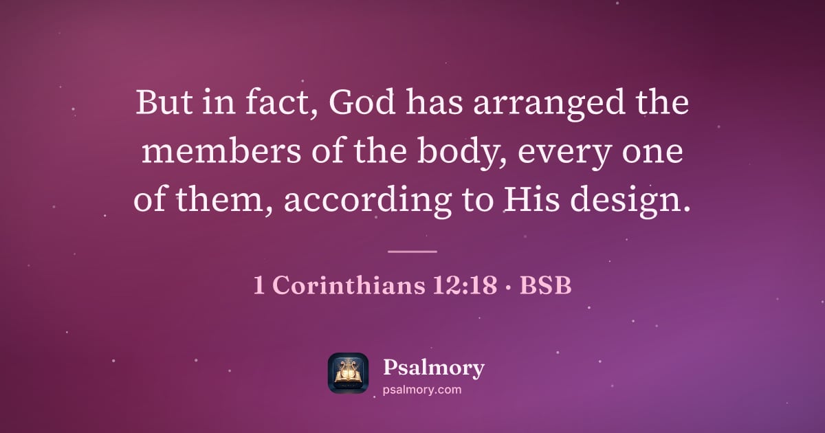 1 Corinthians 12:18 verse artwork: But in fact, God has arranged the members of the body, every one of them, according to…