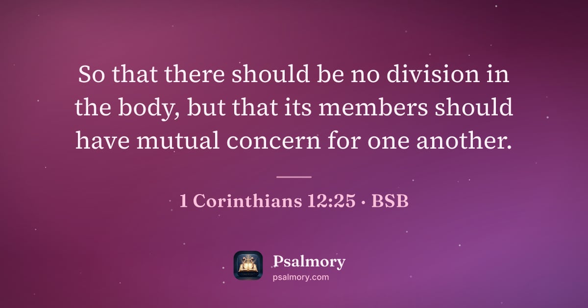 1 Corinthians 12:25 verse artwork: So that there should be no division in the body, but that its members should have mutual…