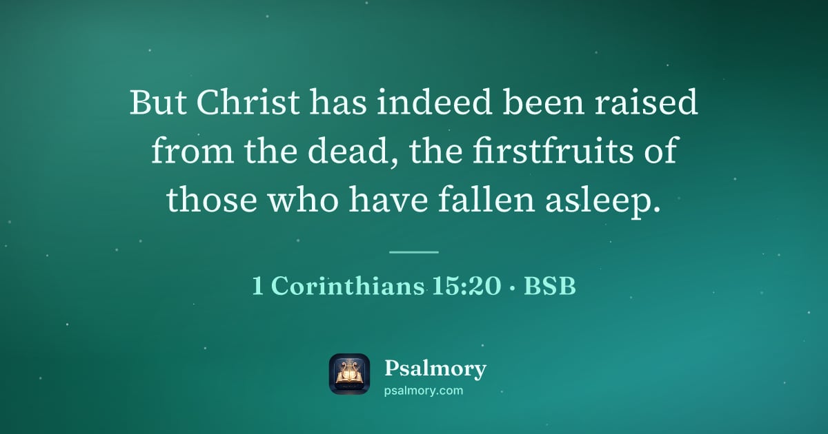 1 Corinthians 15:20 verse artwork: But Christ has indeed been raised from the dead, the firstfruits of those who have…