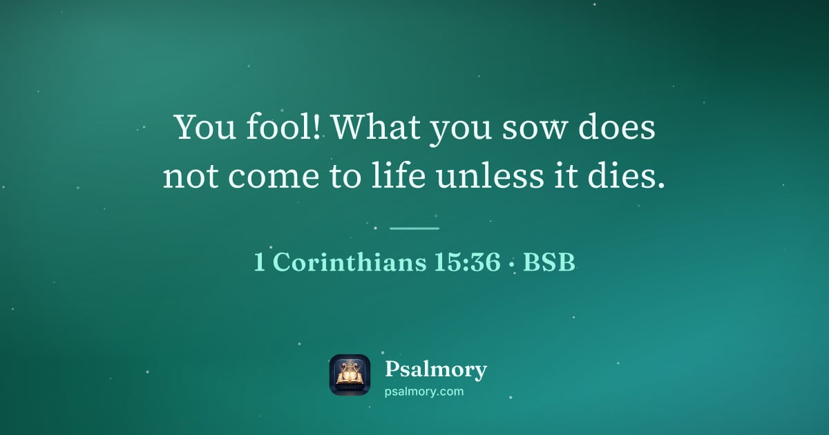 1 Corinthians 15:36 verse artwork: You fool! What you sow does not come to life unless it dies.