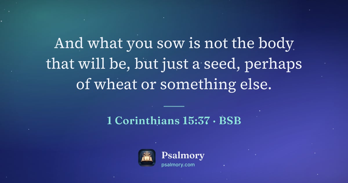 1 Corinthians 15:37 verse artwork: And what you sow is not the body that will be, but just a seed, perhaps of wheat or…