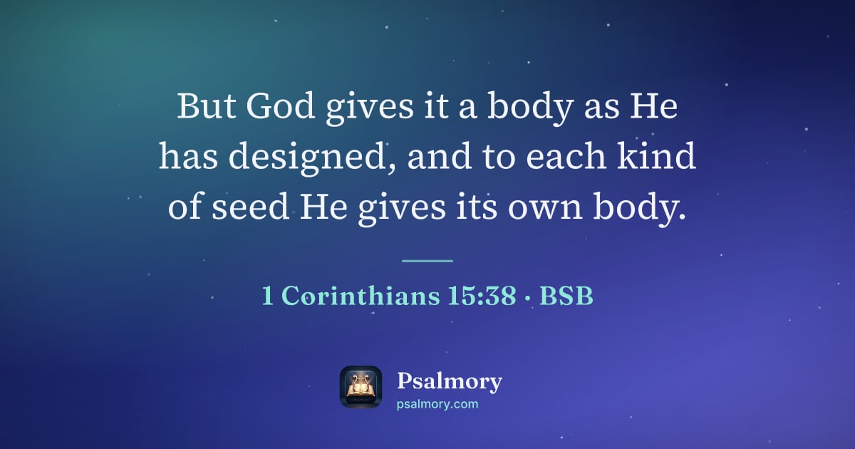 1 Corinthians 15:38 verse artwork: But God gives it a body as He has designed, and to each kind of seed He gives its own…