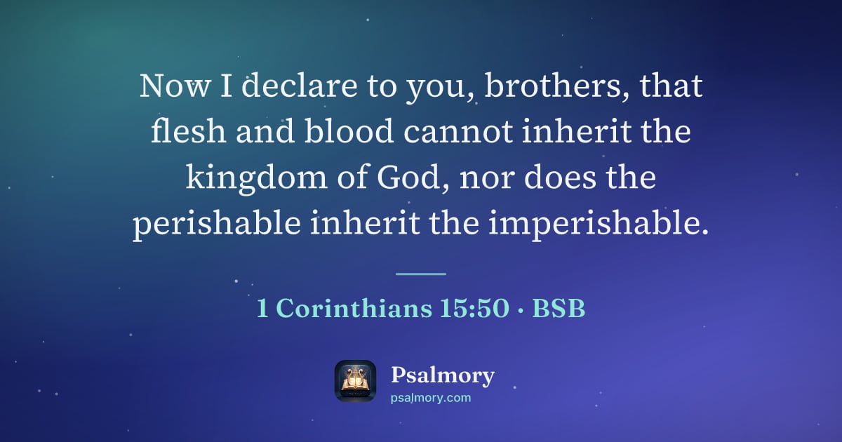1 Corinthians 15:50 verse artwork: Now I declare to you, brothers, that flesh and blood cannot inherit the kingdom of God,…
