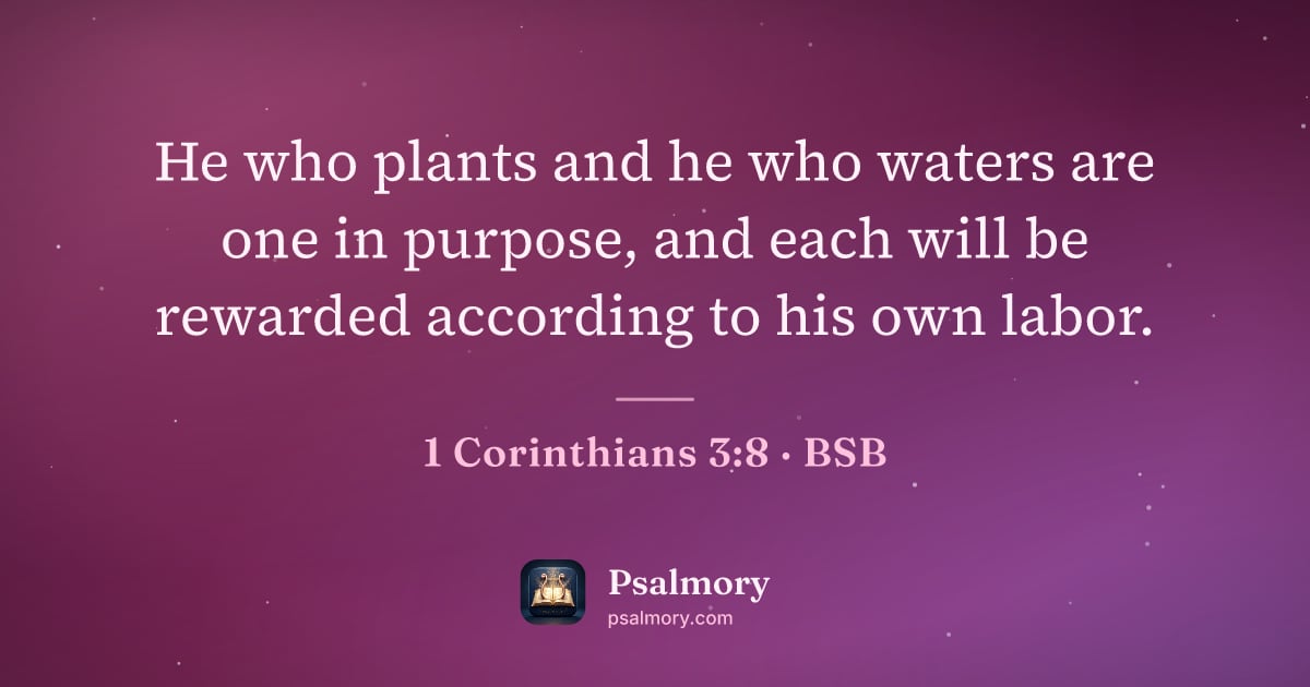 1 Corinthians 3:8 verse artwork: He who plants and he who waters are one in purpose, and each will be rewarded according…