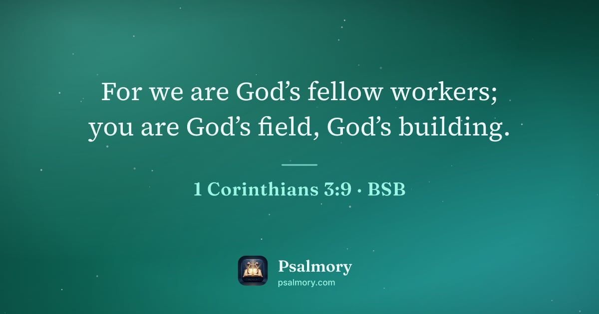 1 Corinthians 3:9 verse artwork: For we are God’s fellow workers; you are God’s field, God’s building.