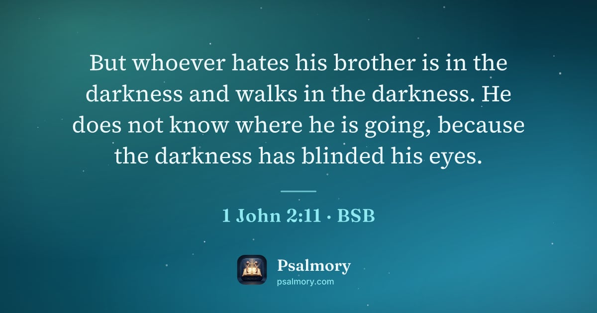 1 John 2:11 verse artwork: But whoever hates his brother is in the darkness and walks in the darkness. He does not…