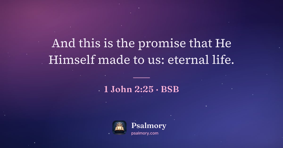 1 John 2:25 verse artwork: And this is the promise that He Himself made to us: eternal life.