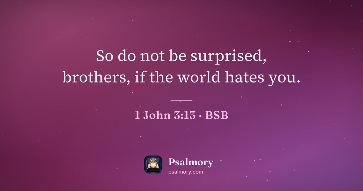 1 John 3:13 verse artwork: So do not be surprised, brothers, if the world hates you.