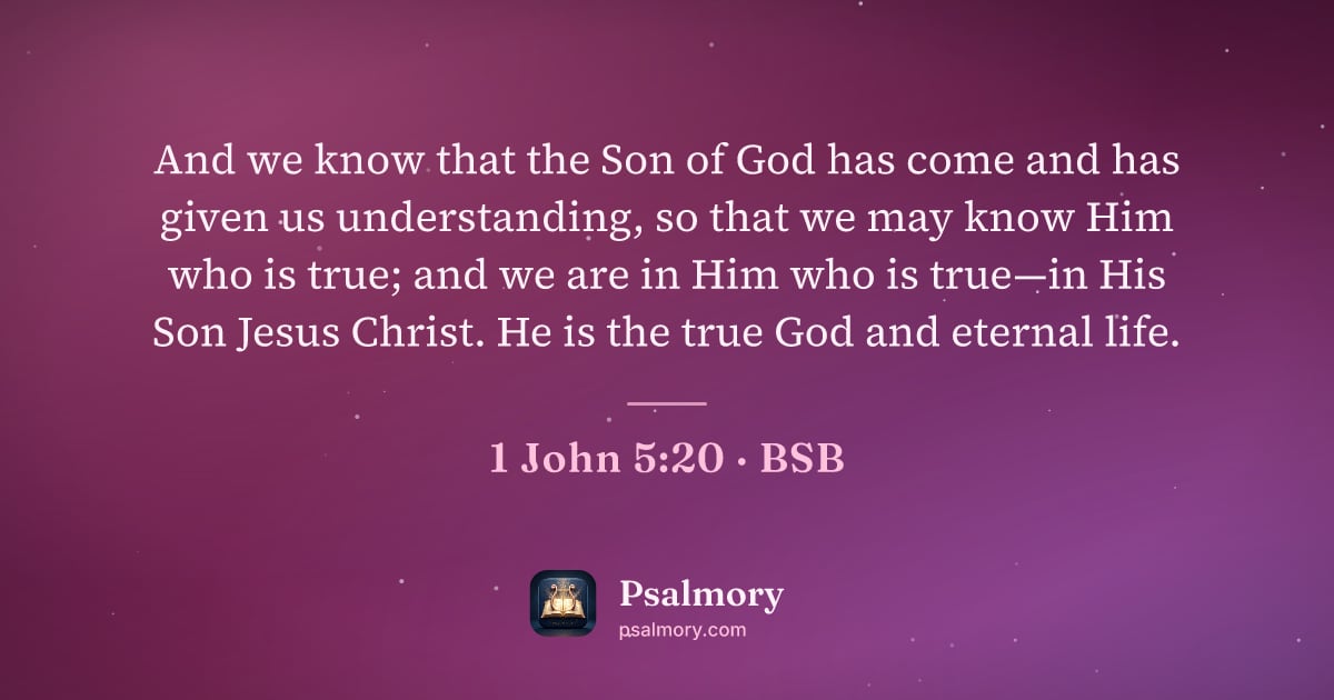 1 John 5:20 verse artwork: And we know that the Son of God has come and has given us understanding, so that we may…