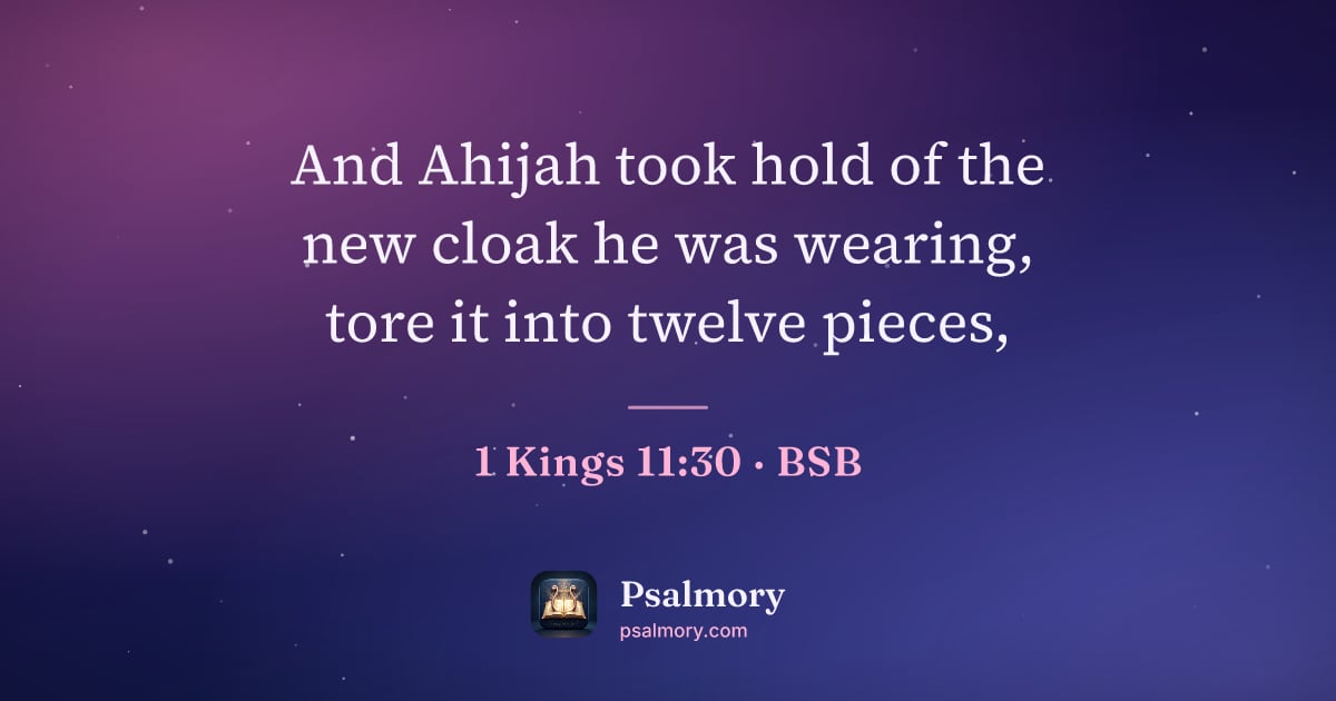 1 Kings 11:30 verse artwork: And Ahijah took hold of the new cloak he was wearing, tore it into twelve pieces,