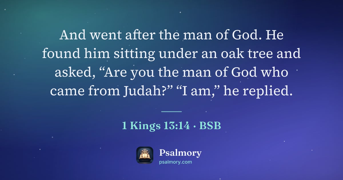 1 Kings 13:14 verse artwork: And went after the man of God. He found him sitting under an oak tree and asked, “Are…