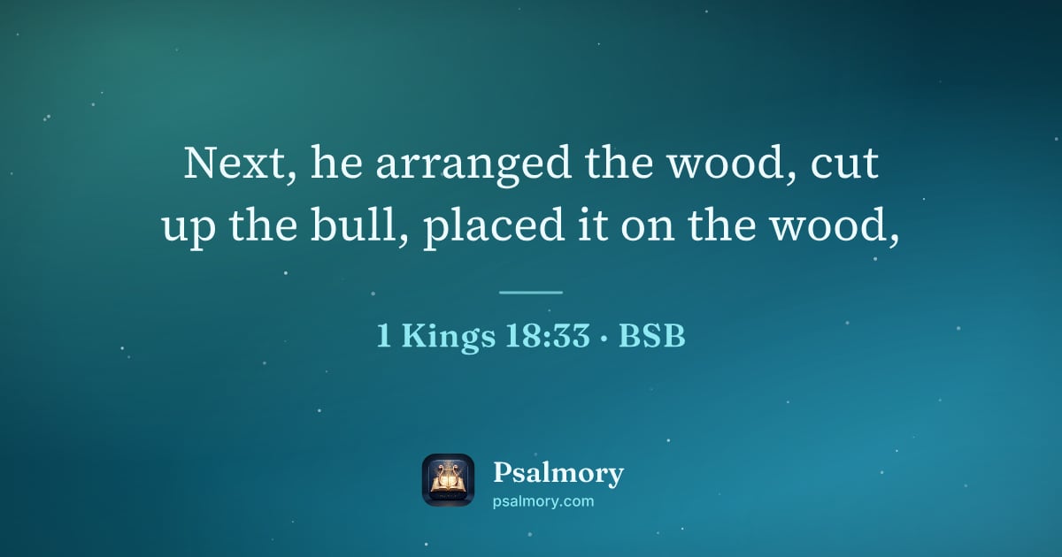 1 Kings 18:33 verse artwork: Next, he arranged the wood, cut up the bull, placed it on the wood,