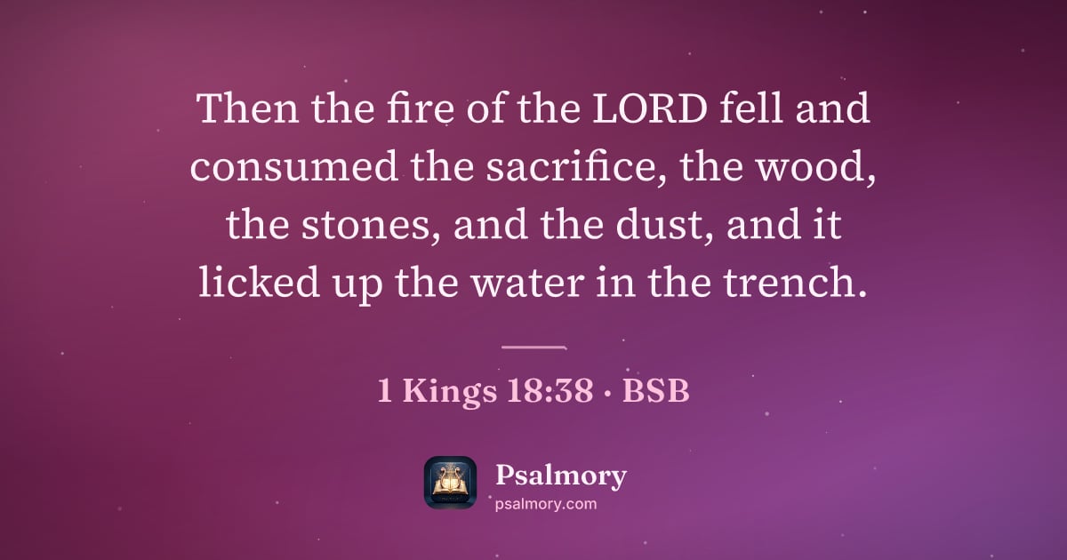 1 Kings 18:38 verse artwork: Then the fire of the LORD fell and consumed the sacrifice, the wood, the stones, and the…