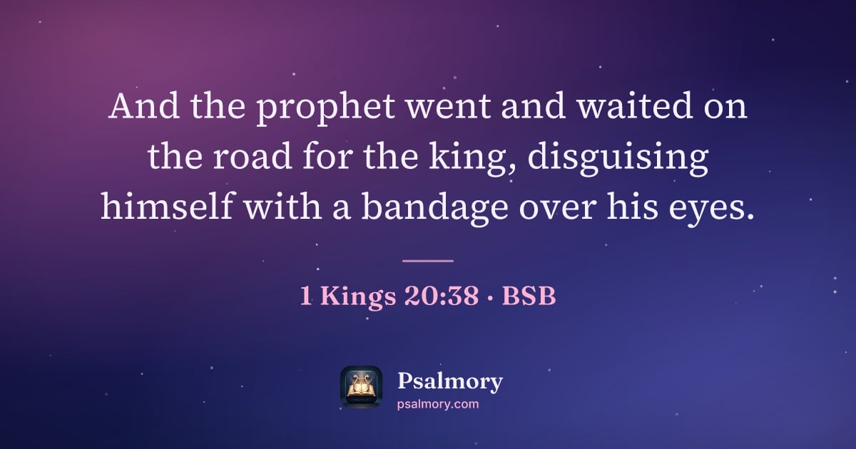 1 Kings 20:38 verse artwork: And the prophet went and waited on the road for the king, disguising himself with a…