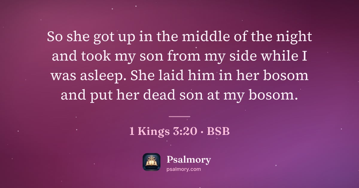 1 Kings 3:20 verse artwork: So she got up in the middle of the night and took my son from my side while I was…