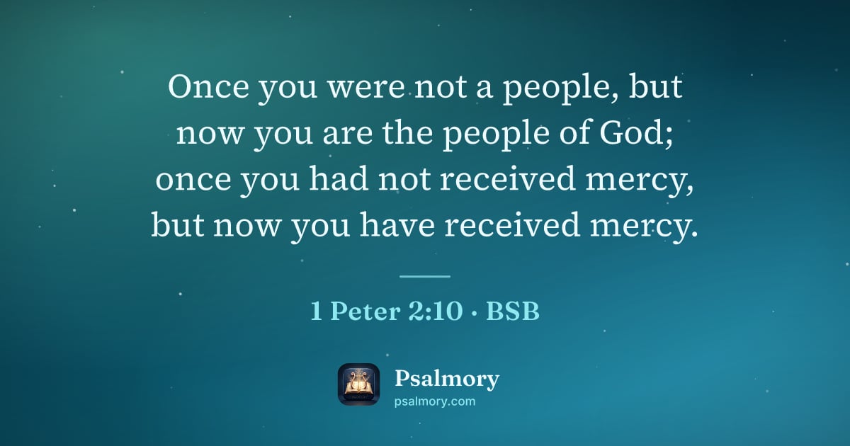 1 Peter 2:10 verse artwork: Once you were not a people, but now you are the people of God; once you had not received…