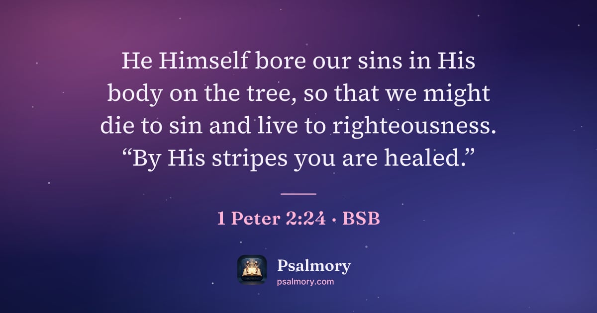 1 Peter 2:24 verse artwork: He Himself bore our sins in His body on the tree, so that we might die to sin and live…