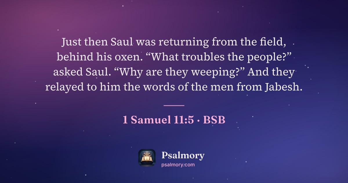 1 Samuel 11:5 verse artwork: Just then Saul was returning from the field, behind his oxen. “What troubles the…