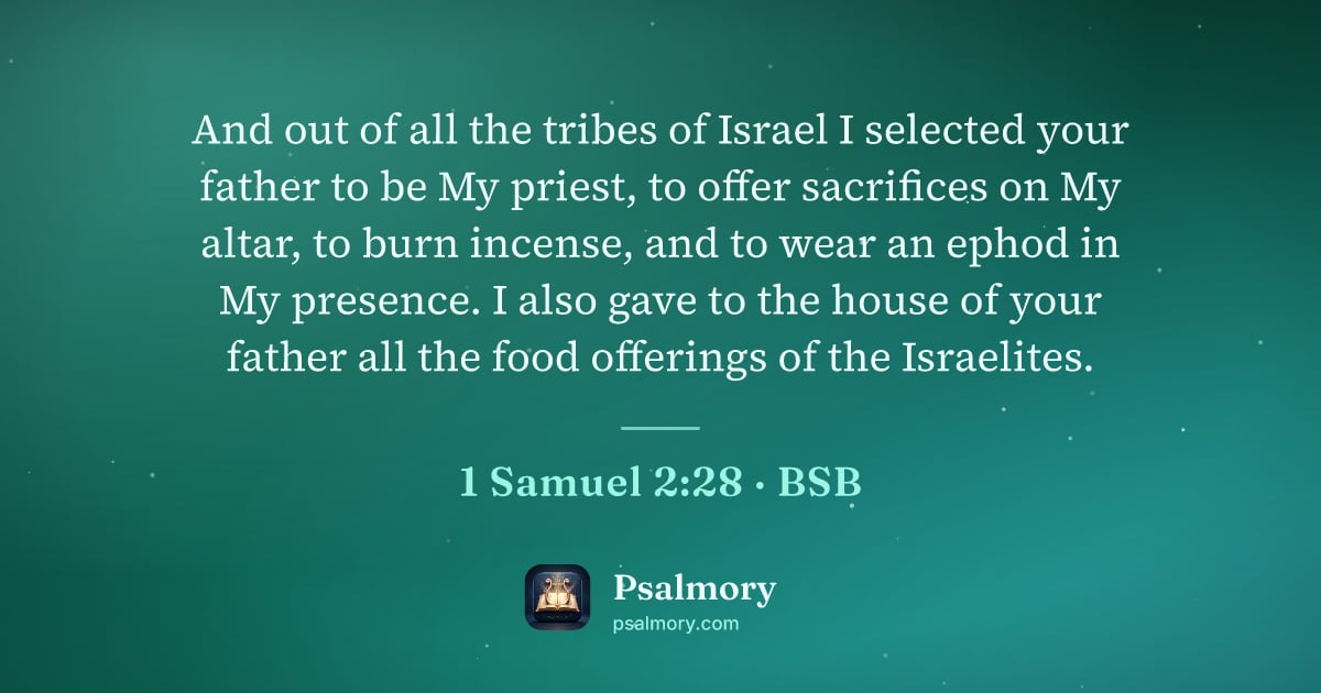 1 Samuel 2:28 verse artwork: And out of all the tribes of Israel I selected your father to be My priest, to offer…