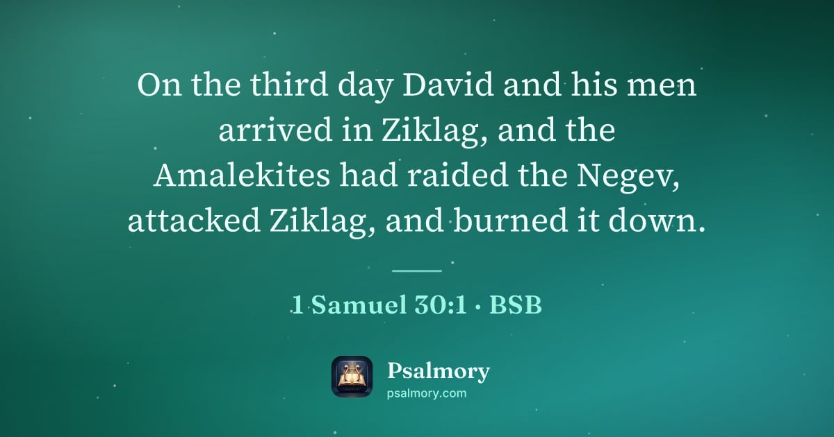 1 Samuel 30:1 verse artwork: On the third day David and his men arrived in Ziklag, and the Amalekites had raided the…