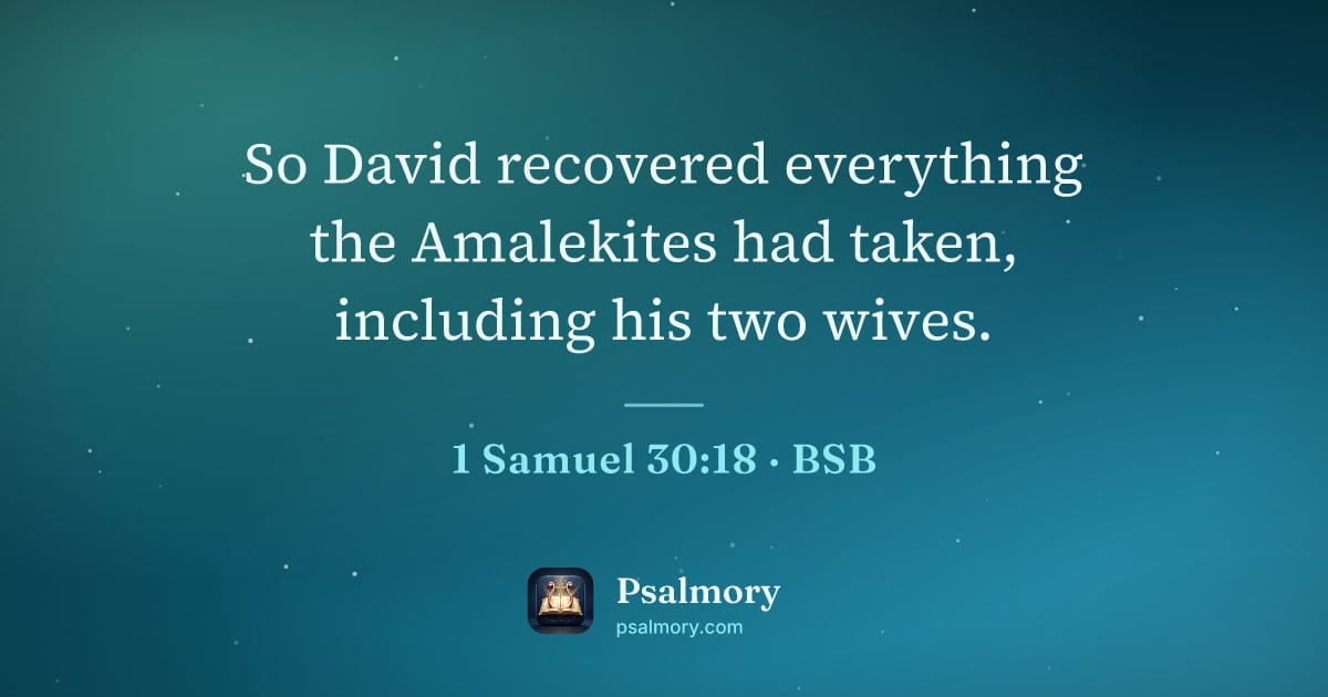 1 Samuel 30:18 verse artwork: So David recovered everything the Amalekites had taken, including his two wives.