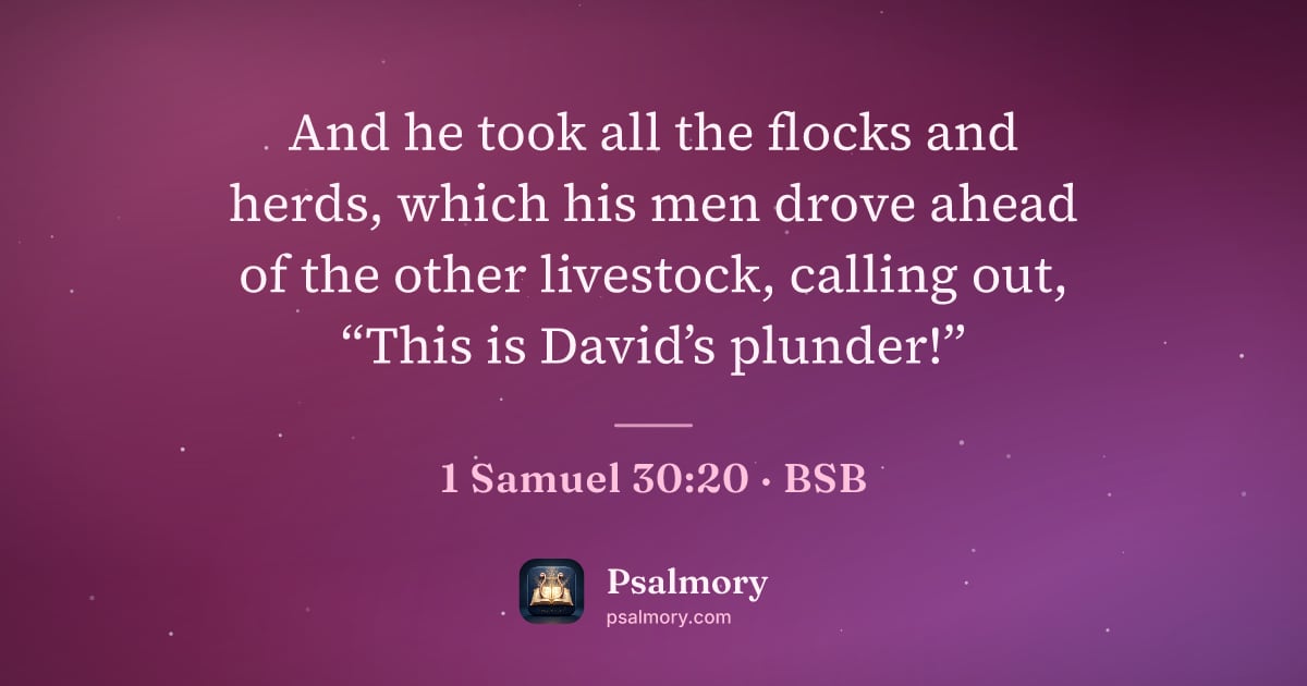 1 Samuel 30:20 verse artwork: And he took all the flocks and herds, which his men drove ahead of the other livestock,…