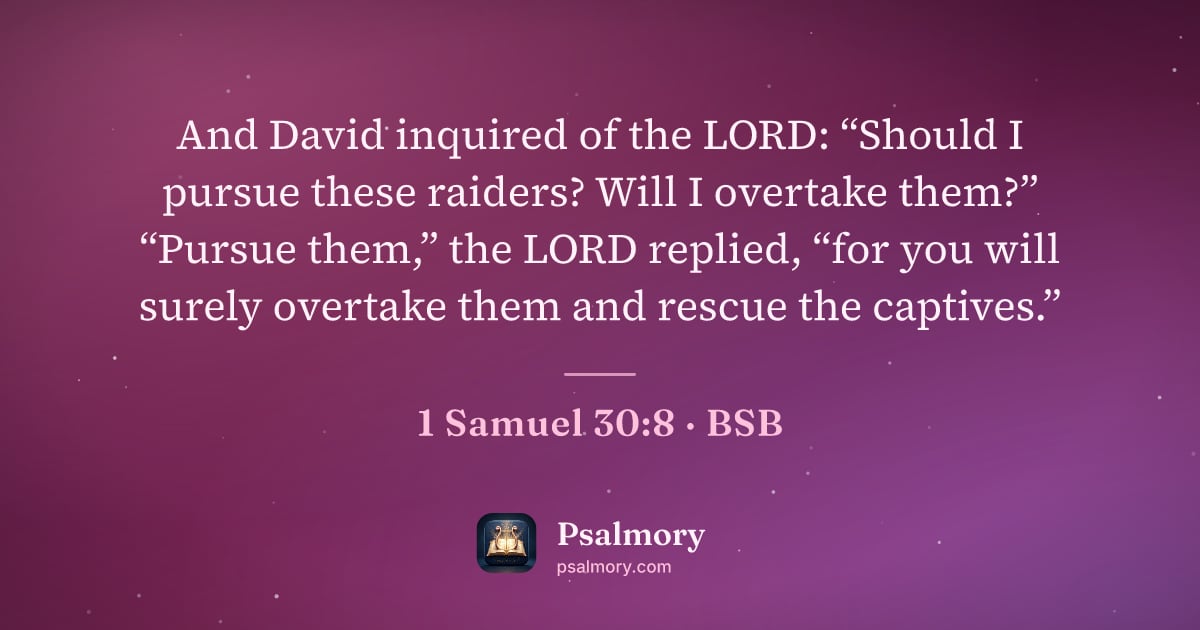 1 Samuel 30:8 verse artwork: And David inquired of the LORD: “Should I pursue these raiders? Will I overtake them?”…