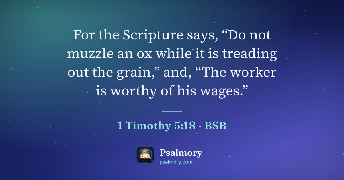 1 Timothy 5:18 verse artwork: For the Scripture says, “Do not muzzle an ox while it is treading out the grain,” and,…