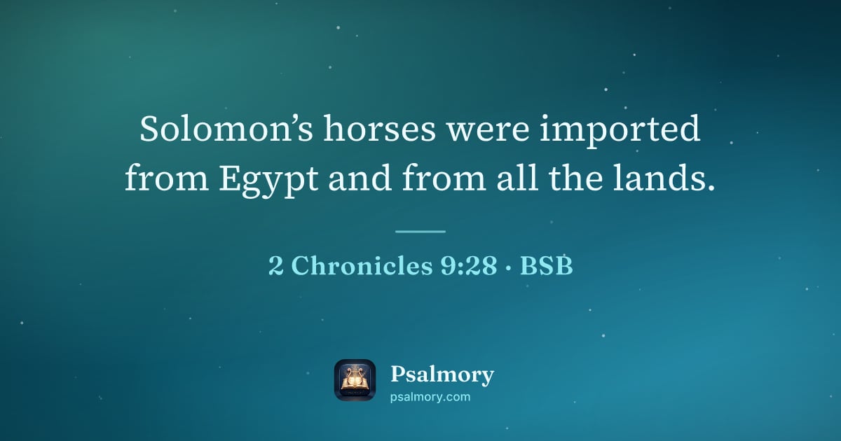 2 Chronicles 9:28 verse artwork: Solomon’s horses were imported from Egypt and from all the lands.
