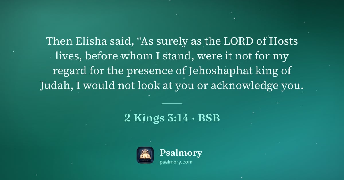 2 Kings 3:14 verse artwork: Then Elisha said, “As surely as the LORD of Hosts lives, before whom I stand, were it…