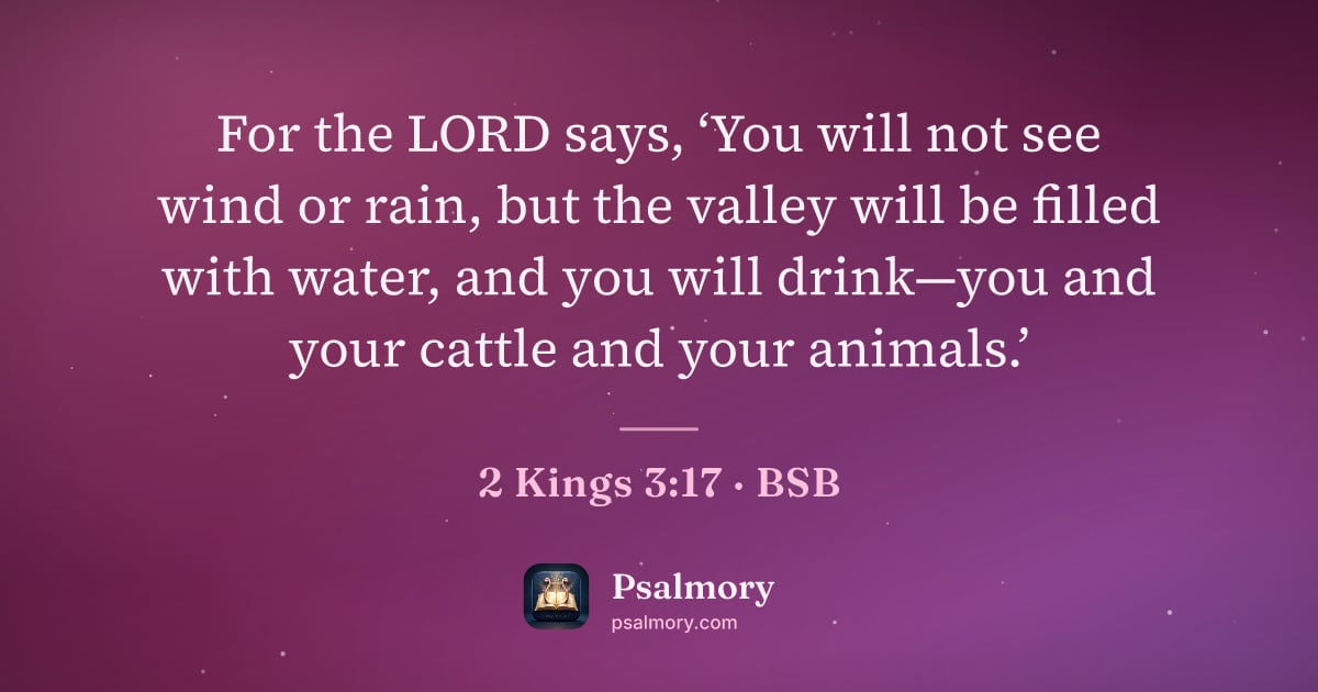 2 Kings 3:17 verse artwork: For the LORD says, ‘You will not see wind or rain, but the valley will be filled with…