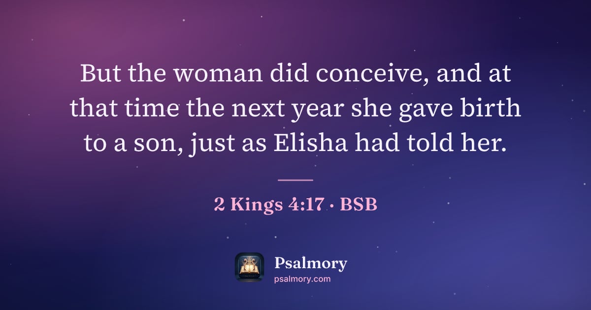 2 Kings 4:17 verse artwork: But the woman did conceive, and at that time the next year she gave birth to a son, just…