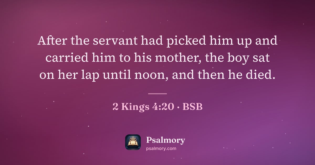 2 Kings 4:20 verse artwork: After the servant had picked him up and carried him to his mother, the boy sat on her…