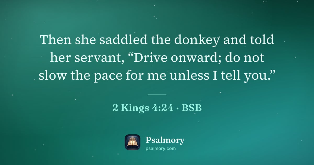 2 Kings 4:24 verse artwork: Then she saddled the donkey and told her servant, “Drive onward; do not slow the pace…