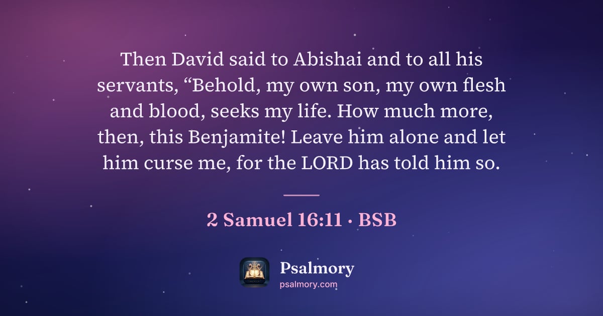2 Samuel 16:11 verse artwork: Then David said to Abishai and to all his servants, “Behold, my own son, my own flesh…