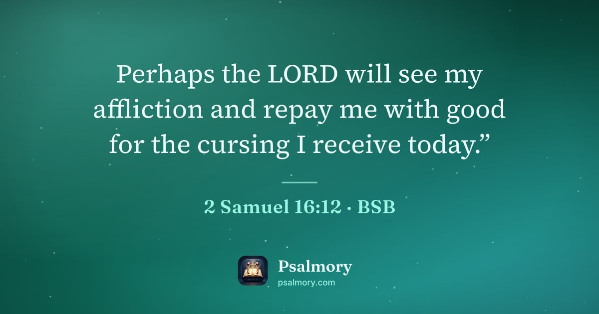 2 Samuel 16:12 verse artwork: Perhaps the LORD will see my affliction and repay me with good for the cursing I receive…