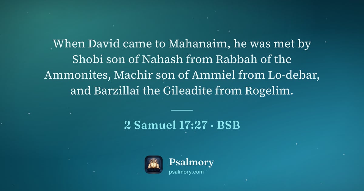 2 Samuel 17:27 verse artwork: When David came to Mahanaim, he was met by Shobi son of Nahash from Rabbah of the…