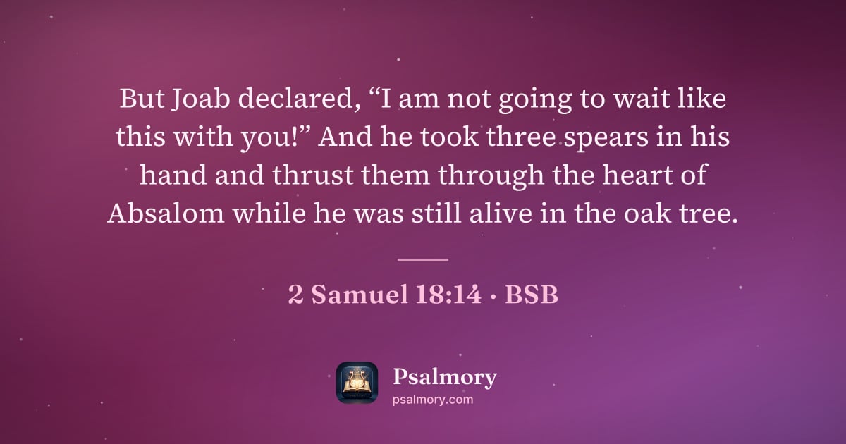 2 Samuel 18:14 verse artwork: But Joab declared, “I am not going to wait like this with you!” And he took three spears…