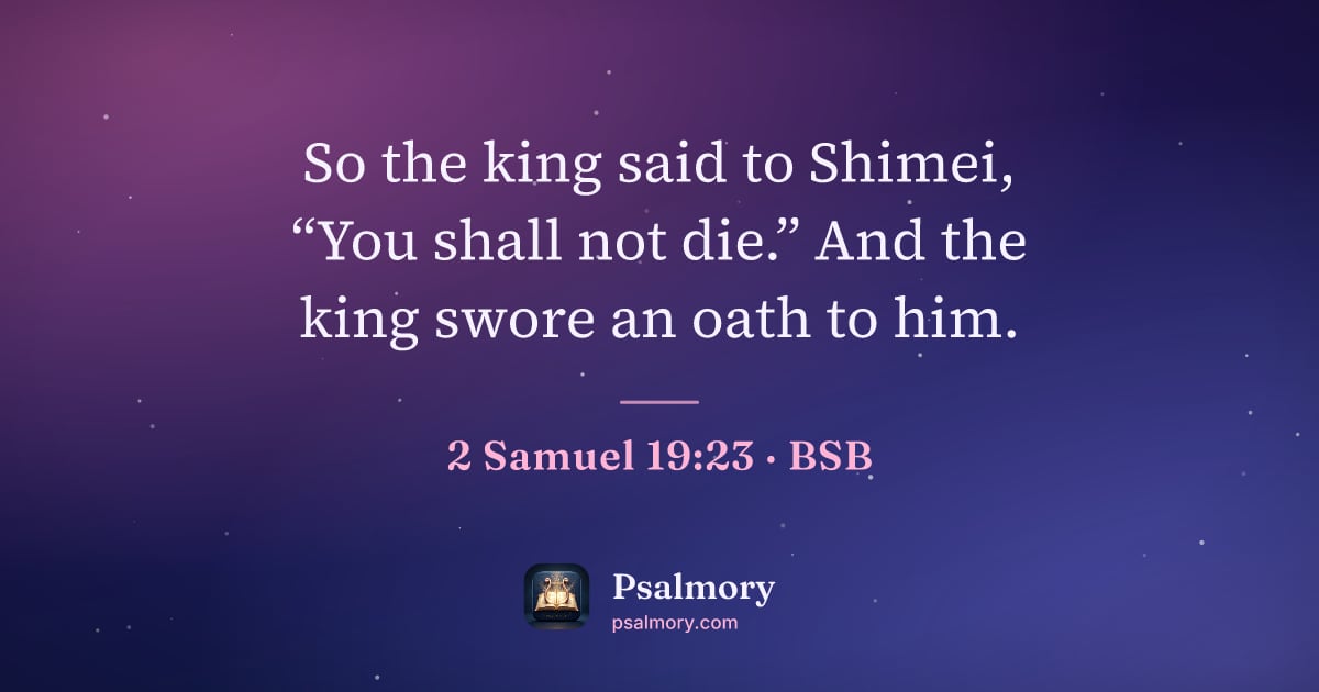 2 Samuel 19:23 verse artwork: So the king said to Shimei, “You shall not die.” And the king swore an oath to him.