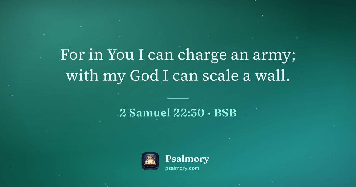 2 Samuel 22:30 verse artwork: For in You I can charge an army; with my God I can scale a wall.