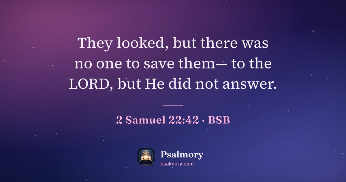 2 Samuel 22:42 verse artwork: They looked, but there was no one to save them— to the LORD, but He did not answer.