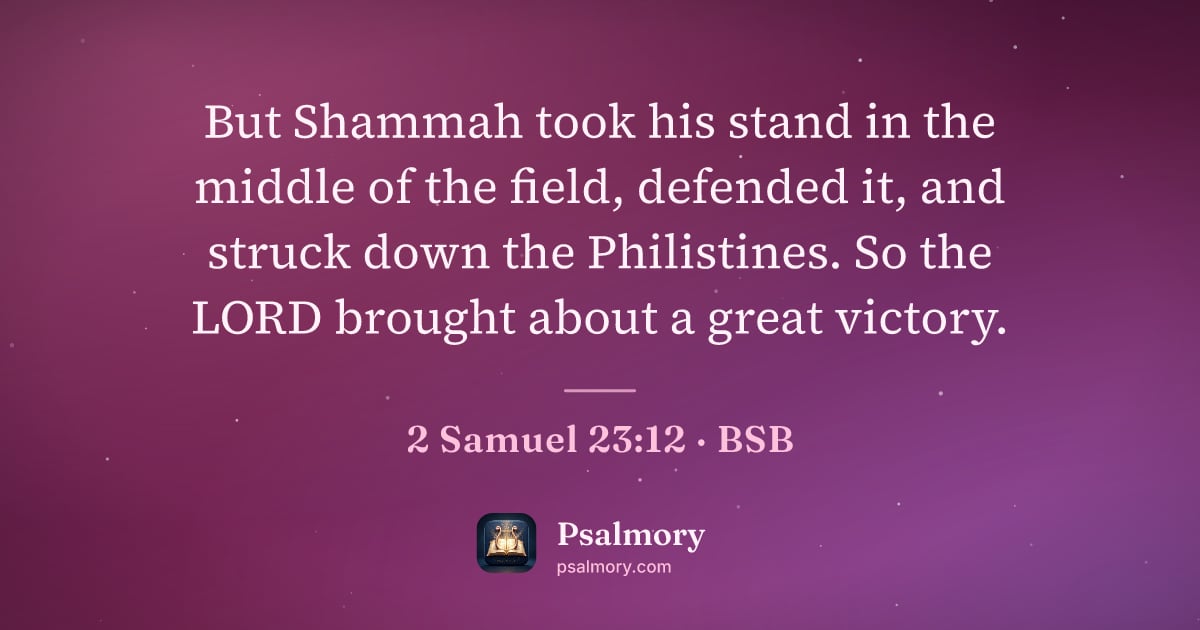 2 Samuel 23:12 verse artwork: But Shammah took his stand in the middle of the field, defended it, and struck down the…