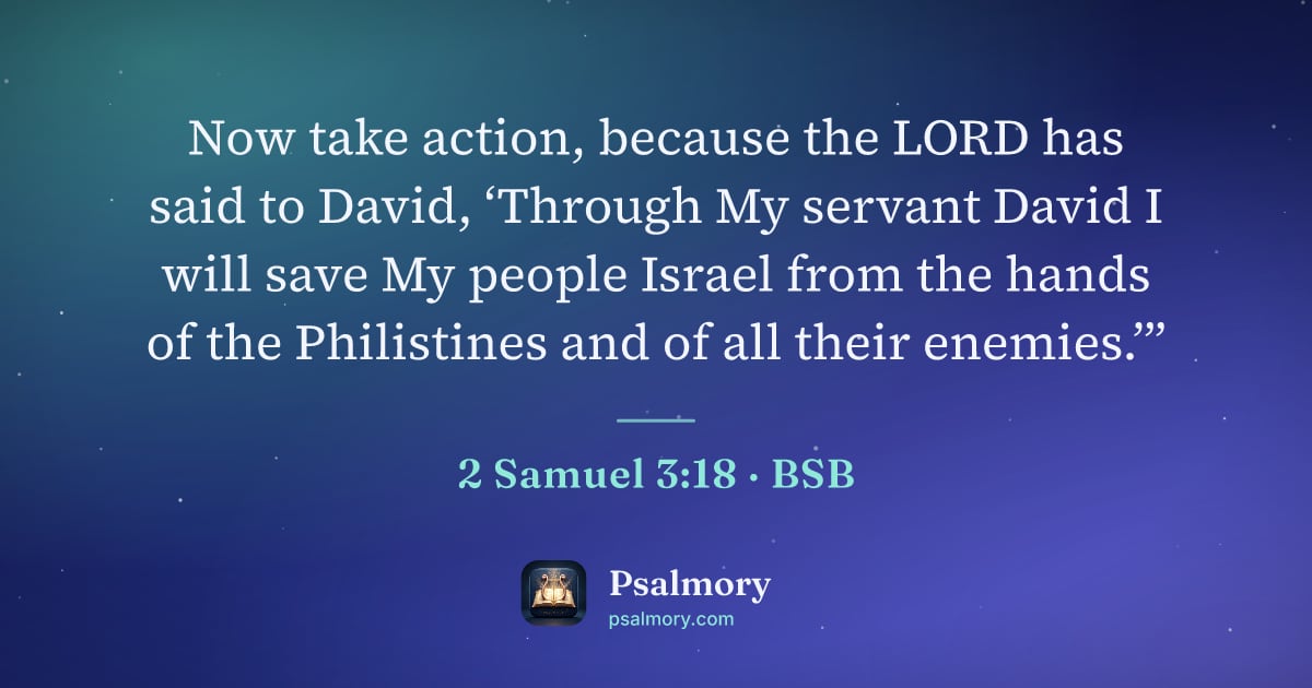 2 Samuel 3:18 verse artwork: Now take action, because the LORD has said to David, ‘Through My servant David I will…