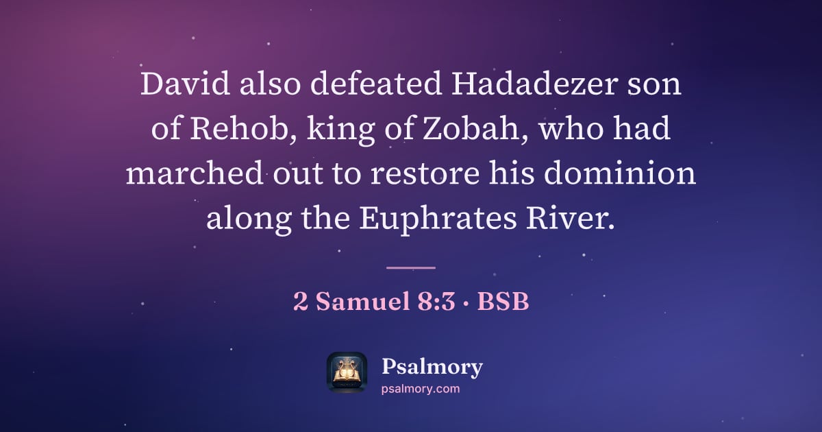 2 Samuel 8:3 verse artwork: David also defeated Hadadezer son of Rehob, king of Zobah, who had marched out to…