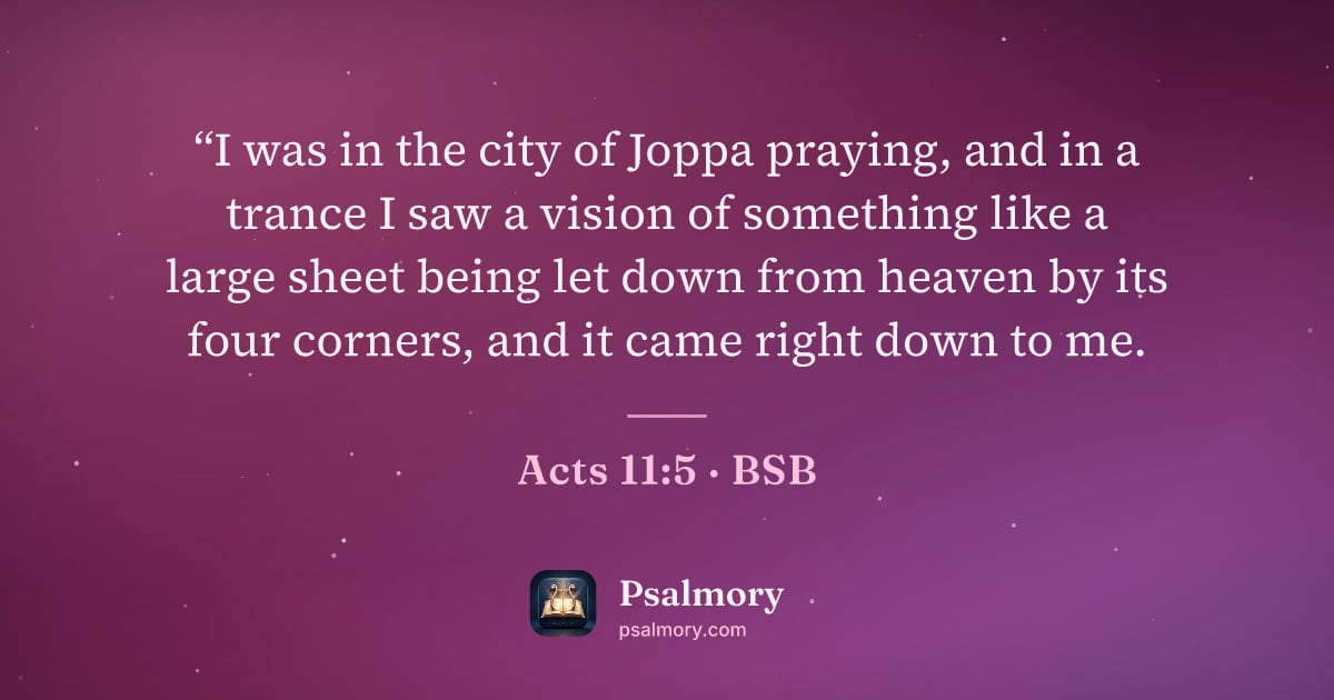 Acts 11:5 verse artwork: “I was in the city of Joppa praying, and in a trance I saw a vision of something like a…